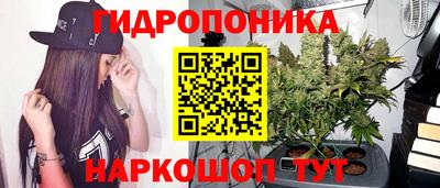 гидра Кунгур