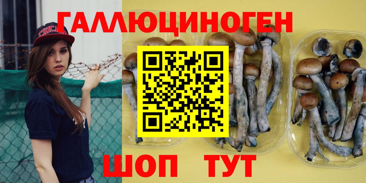 Псилоцибиновые грибы MAGIC MUSHROOMS  Вход с VPN  Псилоцибиновые грибы Psilocybe  где продают   Ейск 