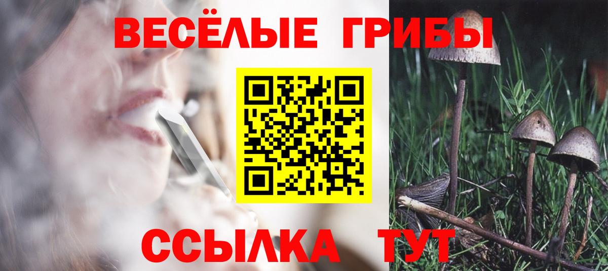 Псилоцибиновые грибы MAGIC MUSHROOMS Ейск
